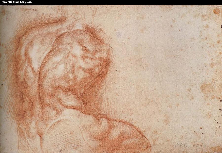 Peter Paul Rubens Facsimile form Torso belvedere